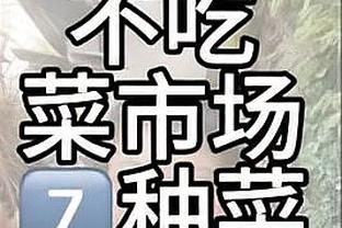 难救主！景菡一11中7拿到18分3板3助2断